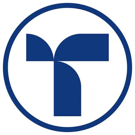 Логотип: Technopolice