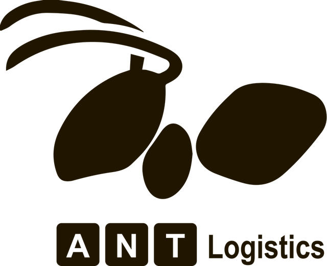Логотип: ANT-Logistics